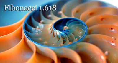 Стратегия на RSI и расширении Fibonacci 1.618